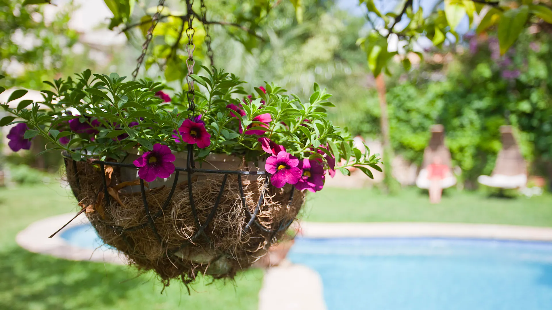 Son Sant Jordi Hotel Pollenca
