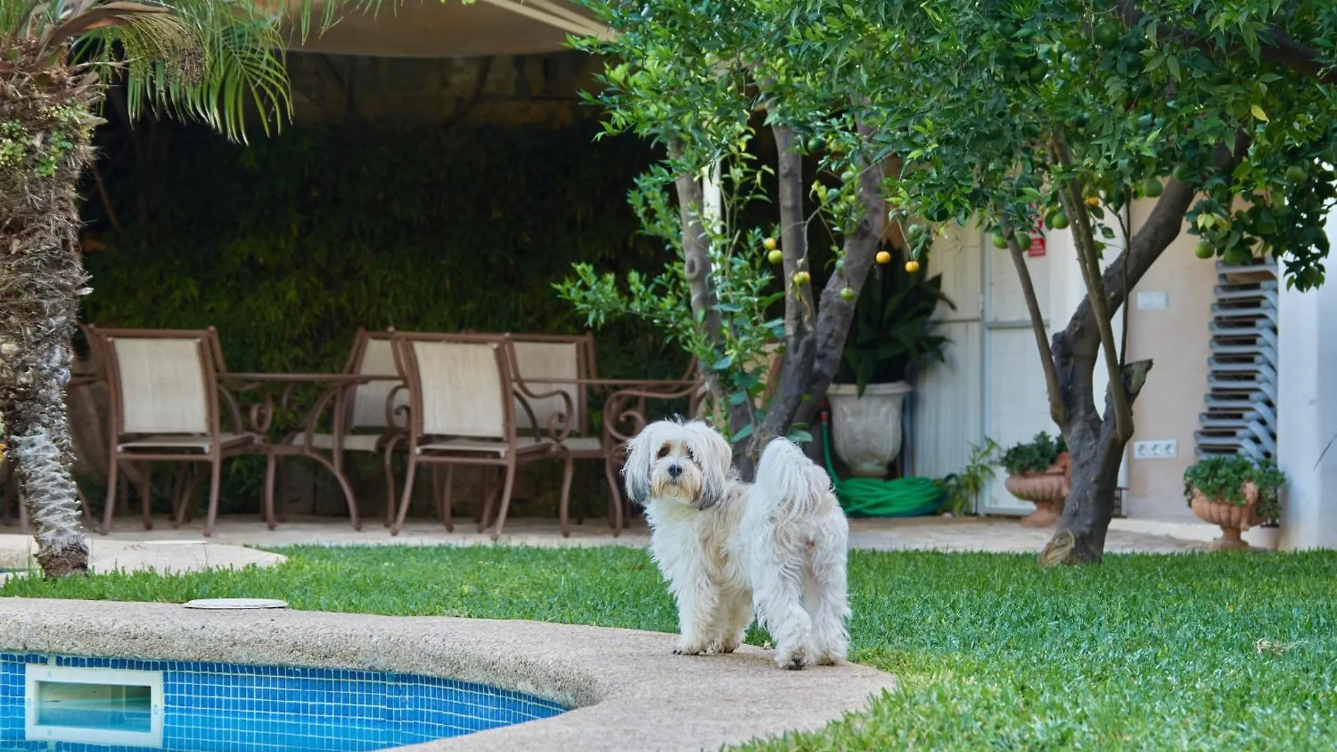 Son Sant Jordi Hotel Pollenca 4*,  Spain